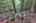 Blurred preview of media: 9zu