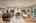 Blurred preview of media: 1-9