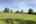 Blurred preview of media: IMG_6209