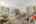 Blurred preview of media: 37 Fir (8)