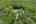 Blurred preview of media: 065