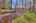 Blurred preview of media: IMG_9787_8_9_easyHDR