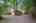 Blurred preview of media: PAX_2113_1