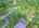 Blurred preview of media: DJI_20260616120926_0922_D_3_D_4_D_easyHDR