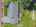 Blurred preview of media: 1-34