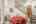 Blurred preview of media: 0314 Coronet Drive, Blue River, Colorado, 80424 - Web-45