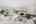 Blurred preview of media: 057A7022