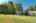 Blurred preview of media: 250242-38