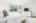 Blurred preview of media: 081A0096-Edit