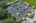 Blurred preview of media: iPixx_10_50
