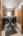 Blurred preview of media: 1-64