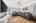 Blurred preview of media: 420 Upper Gage Ave, Hamilton _ JON MACHADO13