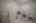 Blurred preview of media: 4376 (78 - 83)