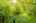 Blurred preview of media: 64 Ravina Cres, Ancaster _ Nathan Ferro134