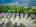 Blurred preview of media: 69 YVONNE CRES web-1