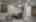 Blurred preview of media: IMG_8899.5