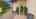 Blurred preview of media: Unknown media