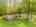 Blurred preview of media: Kerwood-32