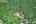 Blurred preview of media: DJI_0166_7_8_easyHDR