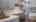 Blurred preview of media: IMG_1458