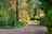 Blurred preview of media: 79