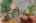 Blurred preview of media: DSC_3324