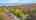 Blurred preview of media: 74