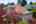 Blurred preview of media: 1-64