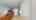 Blurred preview of media: 4201-SE-McClelland-St-06162026_181908