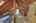 Blurred preview of media: IMG_0373_4_5