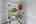 Blurred preview of media: 12430 Gentle Ben-9