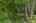 Blurred preview of media: 1-46