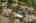 Blurred preview of media: Aerial 12