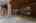 Blurred preview of media: DSC01203