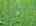 Blurred preview of media: DJI_20260608140906_0563_D_4_D_5_D_easyHDR