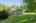 Blurred preview of media: _RKJ4270