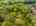 Blurred preview of media: 817 Brill Road Aerial LRCF-56