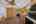 Blurred preview of media: 3-nice-place-hopatcong-nj-usa-house-004
