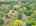 Blurred preview of media: DJI_20260616120828_0913_D_4_D_5_D_easyHDR
