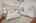 Blurred preview of media: 26