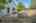 Blurred preview of media: 04