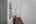 Blurred preview of media: DSC08756