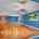 Blurred preview of media: 1-13