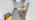 Blurred preview of media: Gateway-Head-Start-05262017_074730