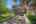 Blurred preview of media: DSC09009