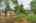 Blurred preview of media: 06