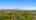 Blurred preview of media: Screenshot 2026-06-03 at 10.02.15 AM