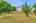 Blurred preview of media: 26