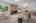 Blurred preview of media: 33