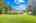 Blurred preview of media: 1-926-0267